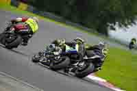 Lower Group Multicolour Bikes